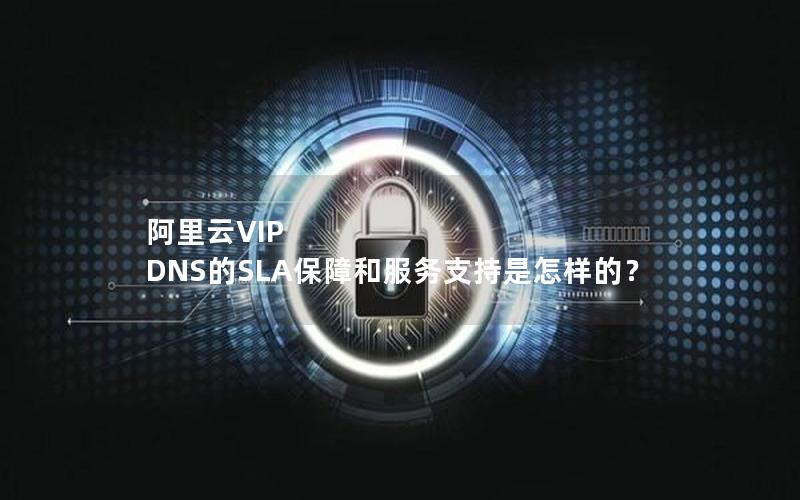阿里云VIP DNS的SLA保障和服务支持是怎样的？