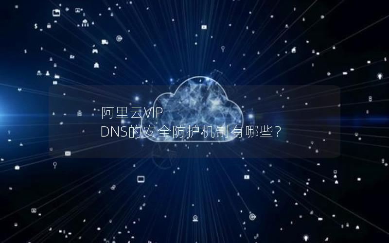 阿里云VIP DNS的安全防护机制有哪些？