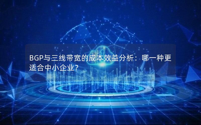 BGP与三线带宽的成本效益分析：哪一种更适合中小企业？