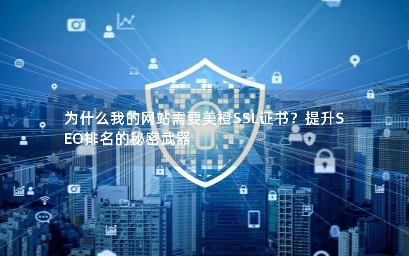 为什么我的网站需要美橙SSL证书？提升SEO排名的秘密武器