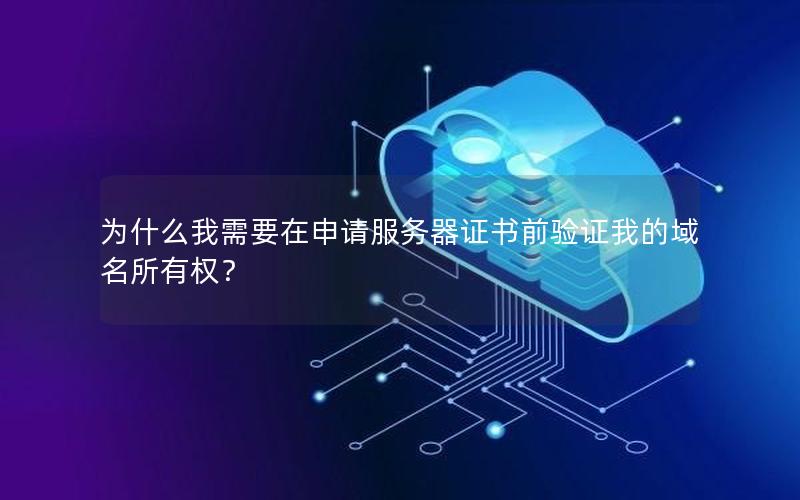 为什么我需要在申请服务器证书前验证我的域名所有权？