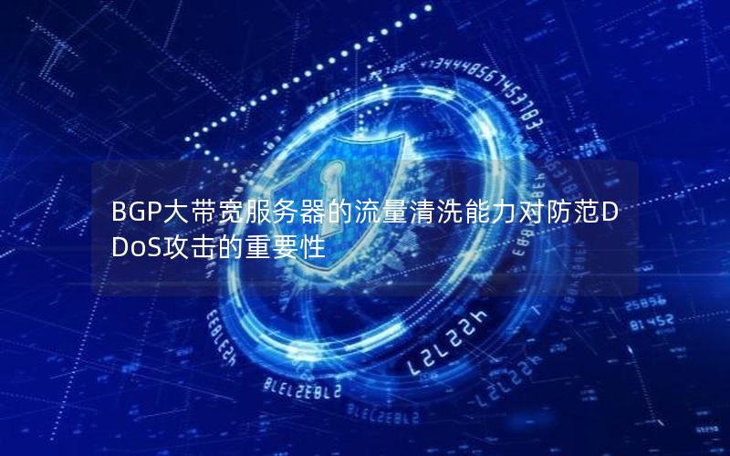 BGP大带宽服务器的流量清洗能力对防范DDoS攻击的重要性