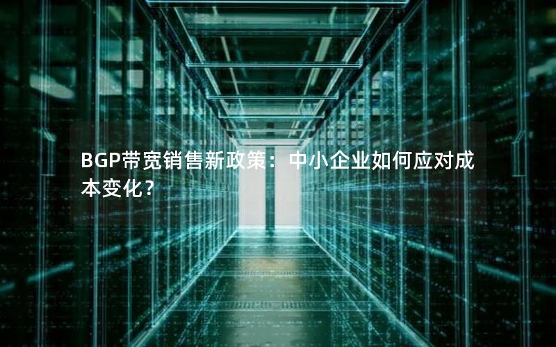 BGP带宽销售新政策：中小企业如何应对成本变化？