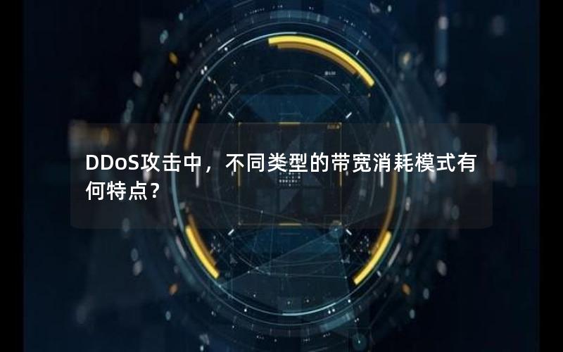 DDoS攻击中，不同类型的带宽消耗模式有何特点？