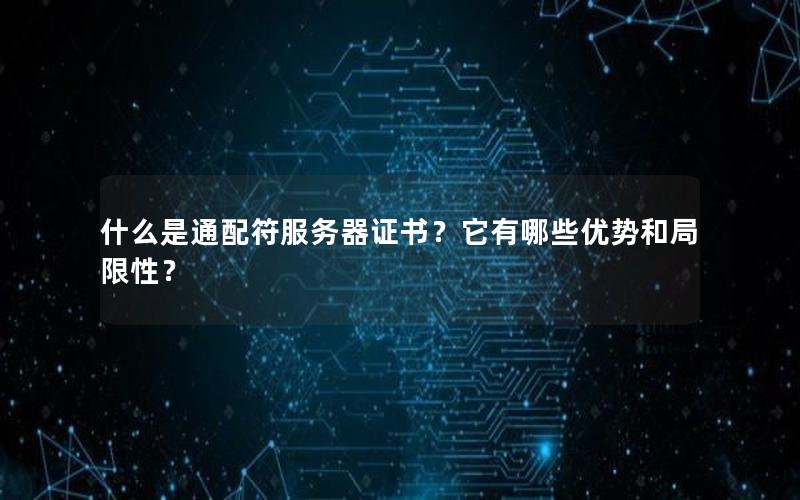 什么是通配符服务器证书？它有哪些优势和局限性？