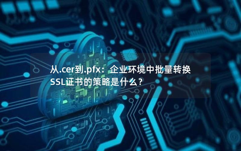 从.cer到.pfx：企业环境中批量转换SSL证书的策略是什么？
