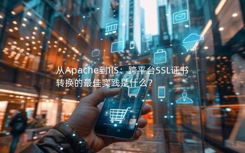 从Apache到IIS：跨平台SSL证书转换的最佳实践是什么？