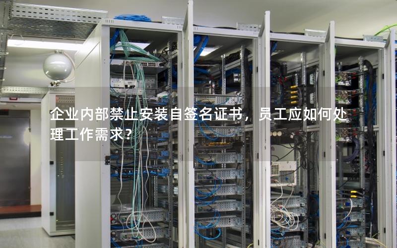 企业内部禁止安装自签名证书，员工应如何处理工作需求？