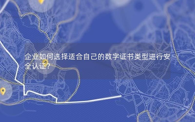 企业如何选择适合自己的数字证书类型进行安全认证？