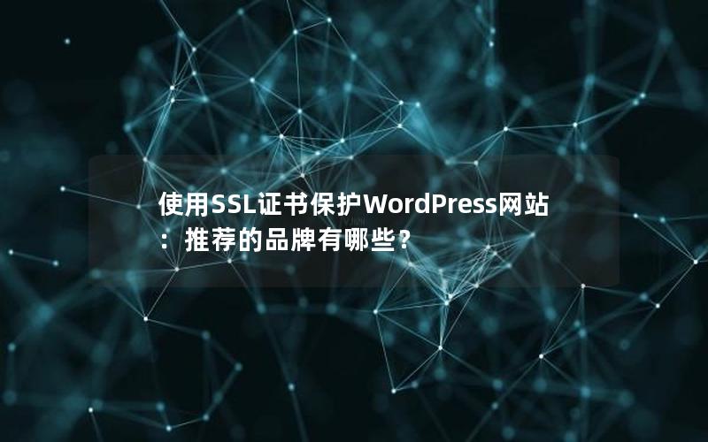 使用SSL证书保护WordPress网站：推荐的品牌有哪些？