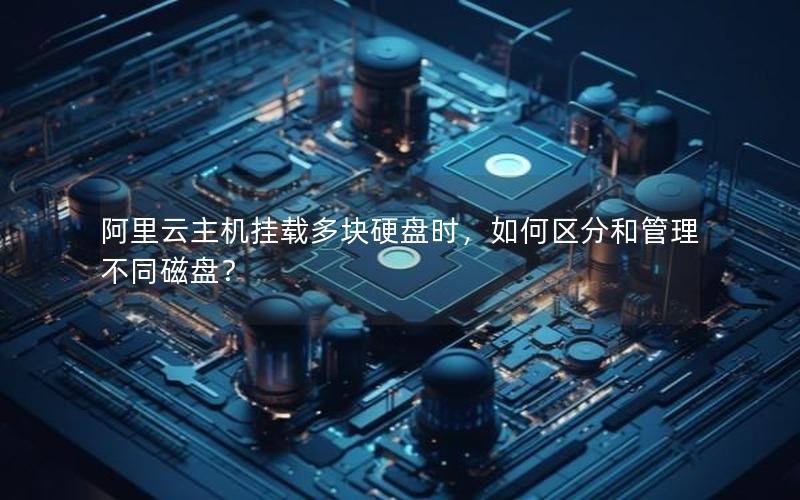 阿里云主机挂载多块硬盘时，如何区分和管理不同磁盘？