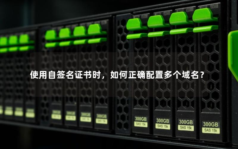 使用自签名证书时，如何正确配置多个域名？