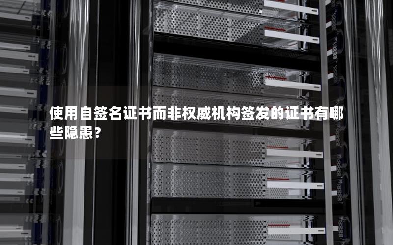 使用自签名证书而非权威机构签发的证书有哪些隐患？