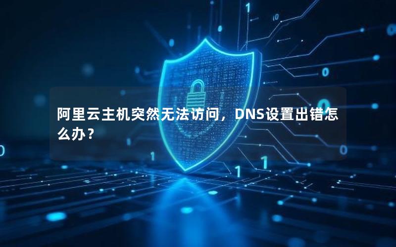 阿里云主机突然无法访问，DNS设置出错怎么办？