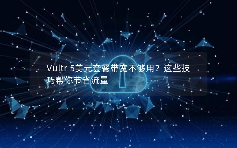 Vultr 5美元套餐带宽不够用？这些技巧帮你节省流量