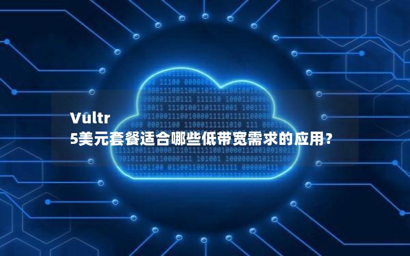 Vultr 5美元套餐适合哪些低带宽需求的应用？