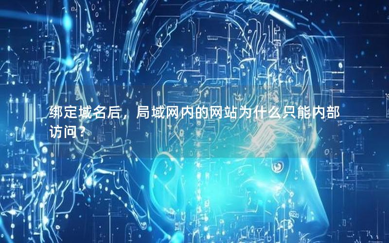 绑定域名后，局域网内的网站为什么只能内部访问？