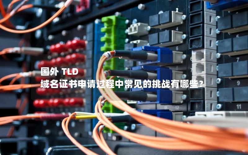 国外 TLD 域名证书申请过程中常见的挑战有哪些？