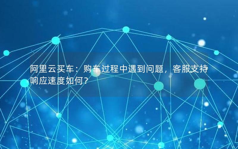 阿里云买车：购车过程中遇到问题，客服支持响应速度如何？