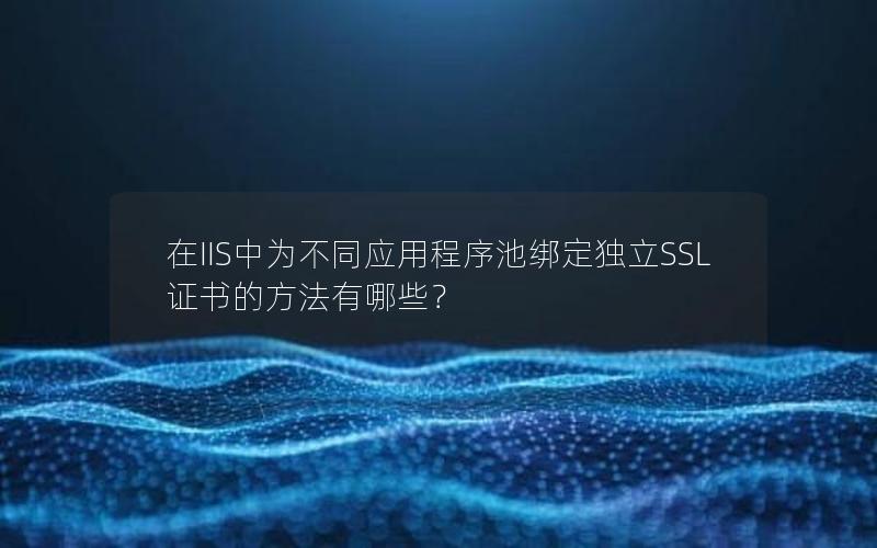 在IIS中为不同应用程序池绑定独立SSL证书的方法有哪些？