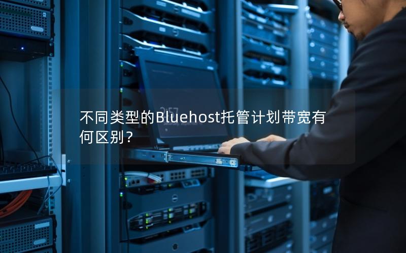 不同类型的Bluehost托管计划带宽有何区别？