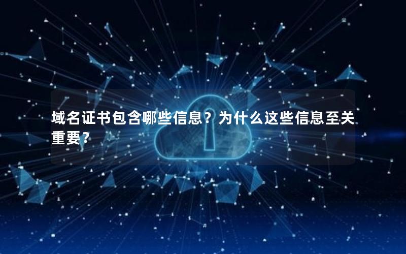 域名证书包含哪些信息？为什么这些信息至关重要？
