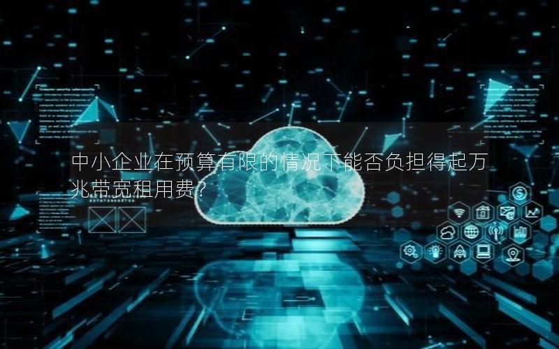 中小企业在预算有限的情况下能否负担得起万兆带宽租用费？