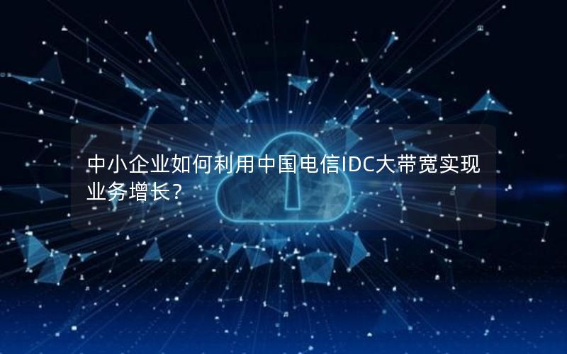 中小企业如何利用中国电信IDC大带宽实现业务增长？