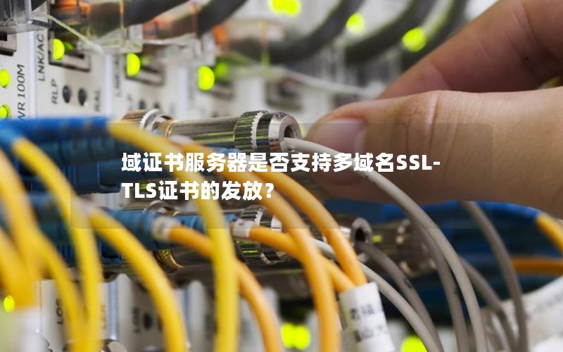 域证书服务器是否支持多域名SSL-TLS证书的发放？