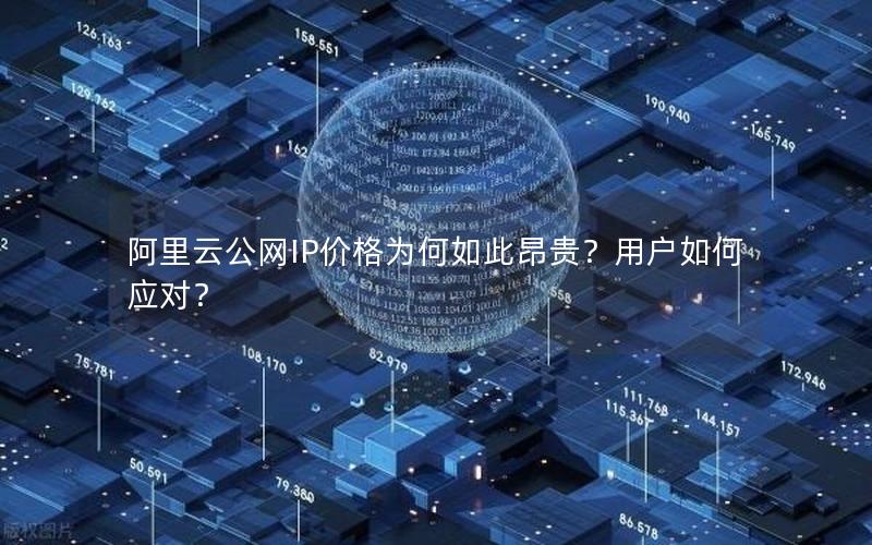 阿里云公网IP价格为何如此昂贵？用户如何应对？