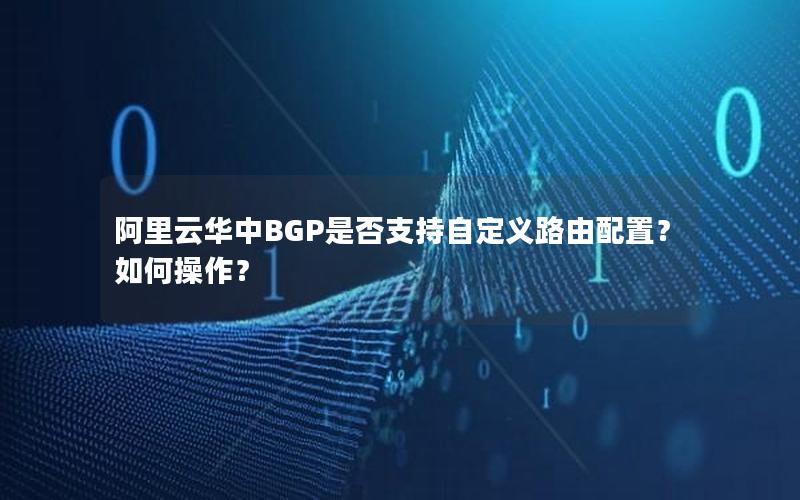 阿里云华中BGP是否支持自定义路由配置？如何操作？