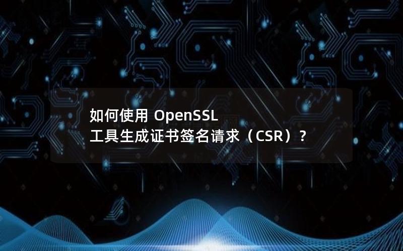 如何使用 OpenSSL 工具生成证书签名请求（CSR）？