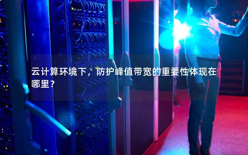 云计算环境下，防护峰值带宽的重要性体现在哪里？