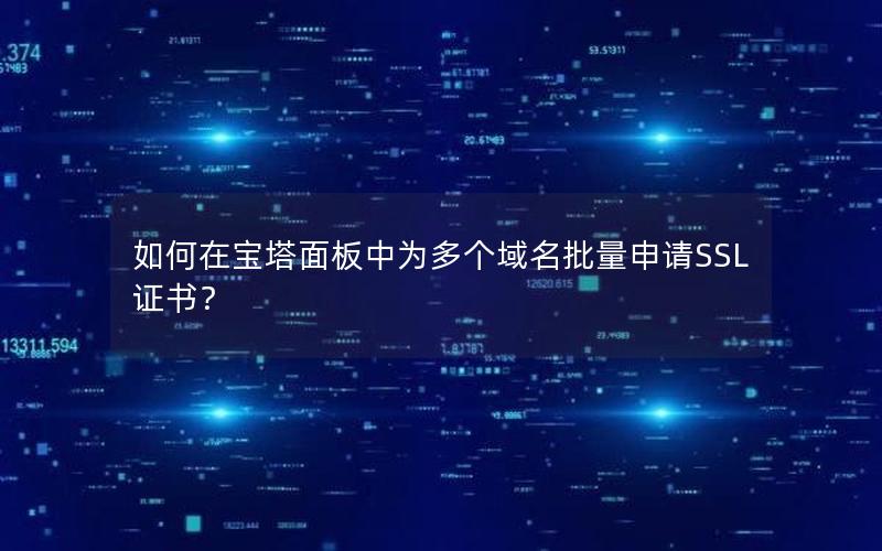 如何在宝塔面板中为多个域名批量申请SSL证书？