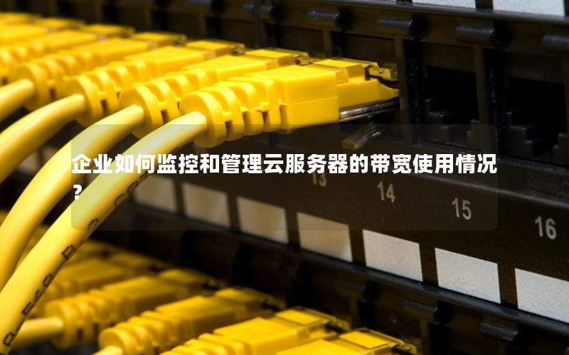 企业如何监控和管理云服务器的带宽使用情况？