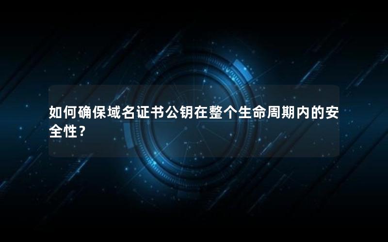 如何确保域名证书公钥在整个生命周期内的安全性？
