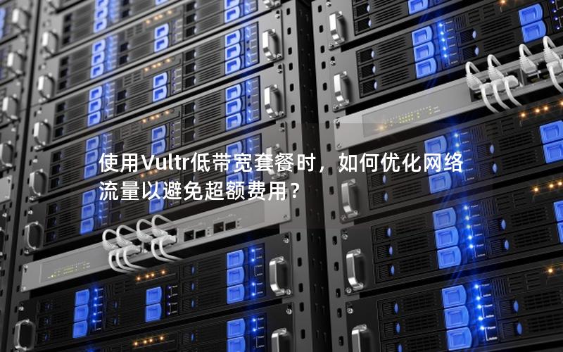 使用Vultr低带宽套餐时，如何优化网络流量以避免超额费用？