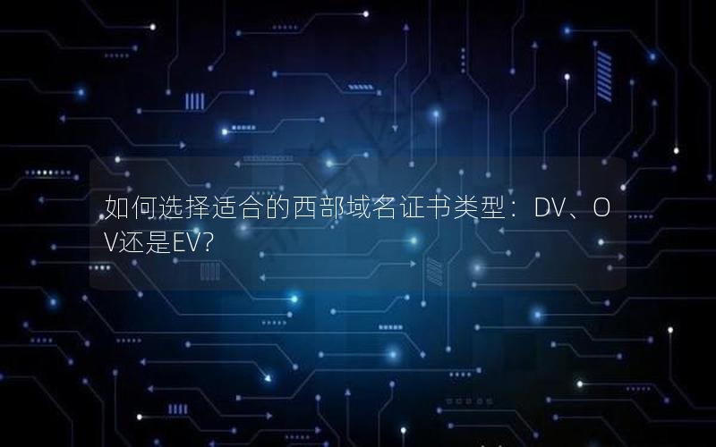 如何选择适合的西部域名证书类型：DV、OV还是EV？