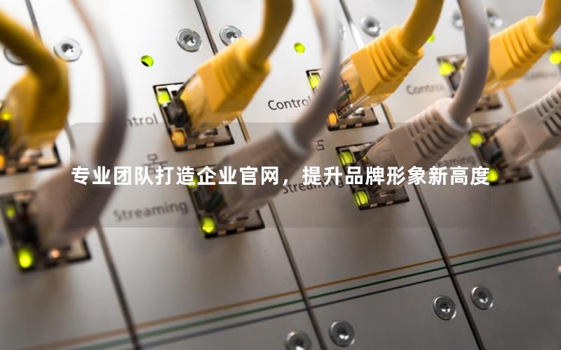 专业团队打造企业官网，提升品牌形象新高度