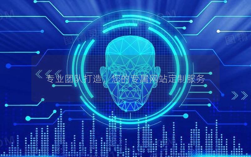 专业团队打造，您的专属网站定制服务