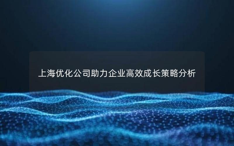 上海优化公司助力企业高效成长策略分析