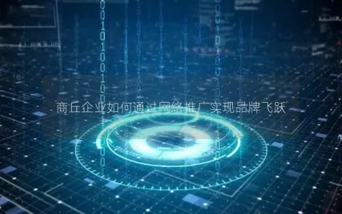 商丘企业如何通过网络推广实现品牌飞跃