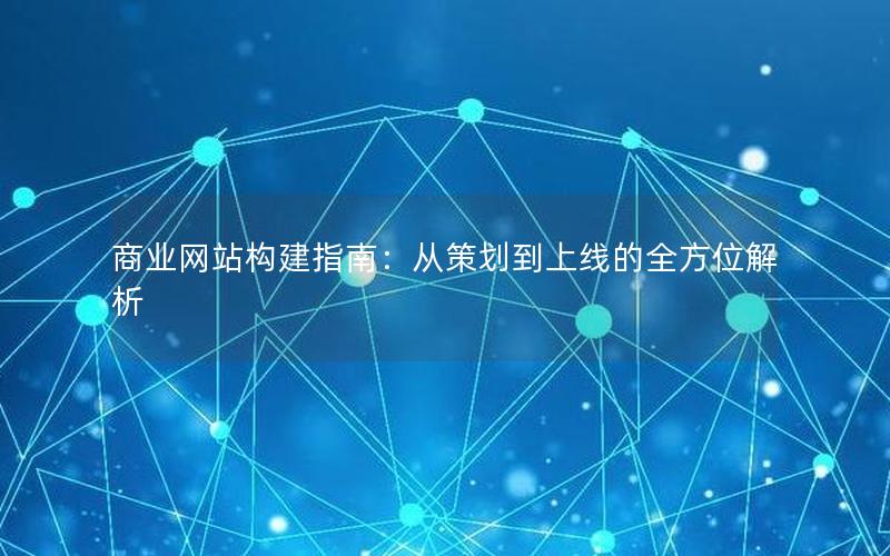 商业网站构建指南：从策划到上线的全方位解析