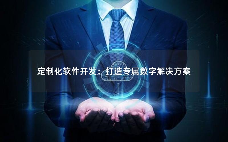 定制化软件开发：打造专属数字解决方案