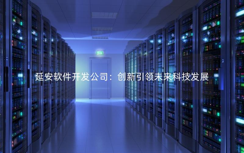 延安软件开发公司：创新引领未来科技发展