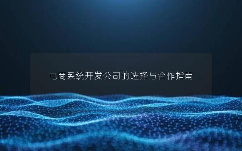 电商系统开发公司的选择与合作指南