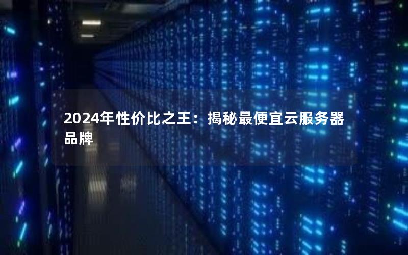 2024年性价比之王：揭秘最便宜云服务器品牌