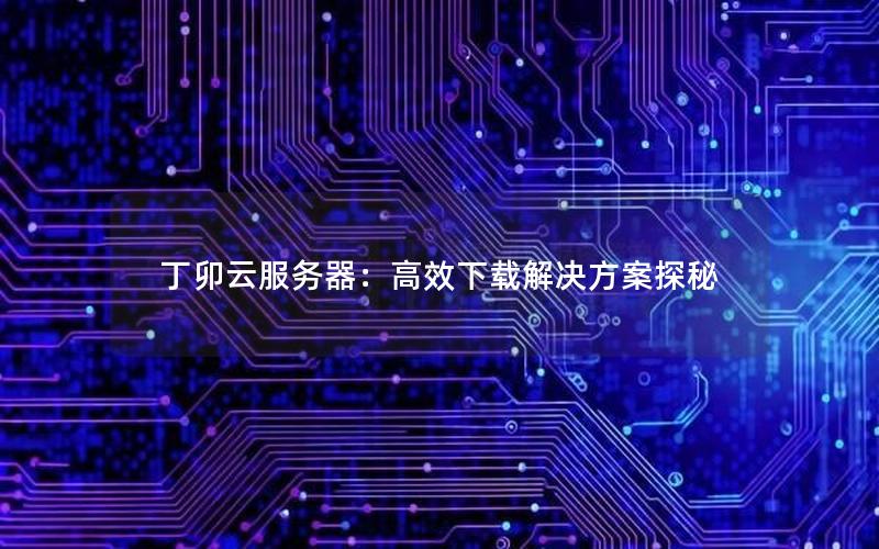 丁卯云服务器：高效下载解决方案探秘