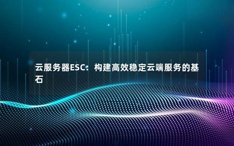云服务器ESC：构建高效稳定云端服务的基石