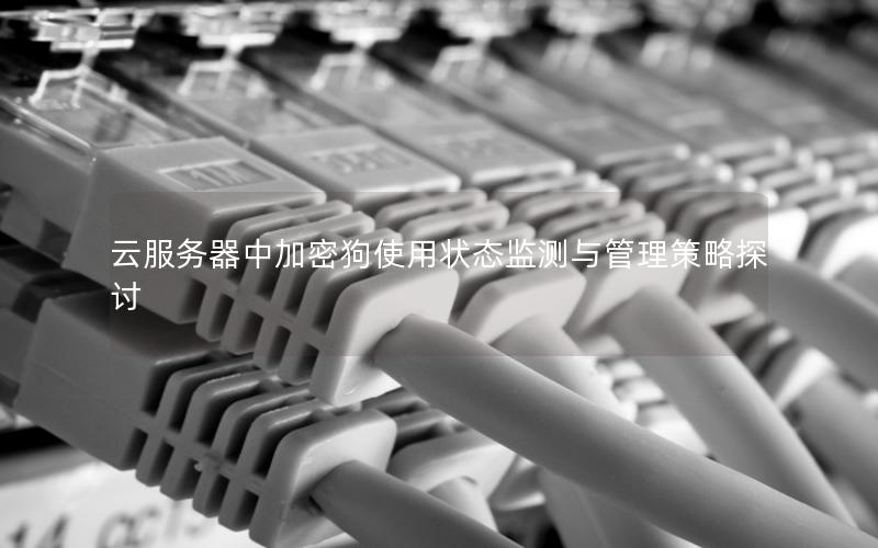 云服务器中加密狗使用状态监测与管理策略探讨